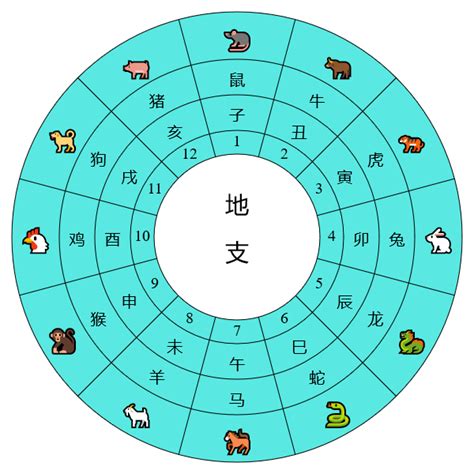 時辰天干地支時間|天干地支對照簡表